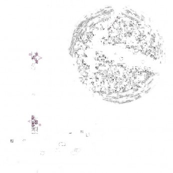 Самокат MICRO MAXI DELUXE PRO сиреневый Самокат MICRO MAXI DELUXE PRO сиреневый